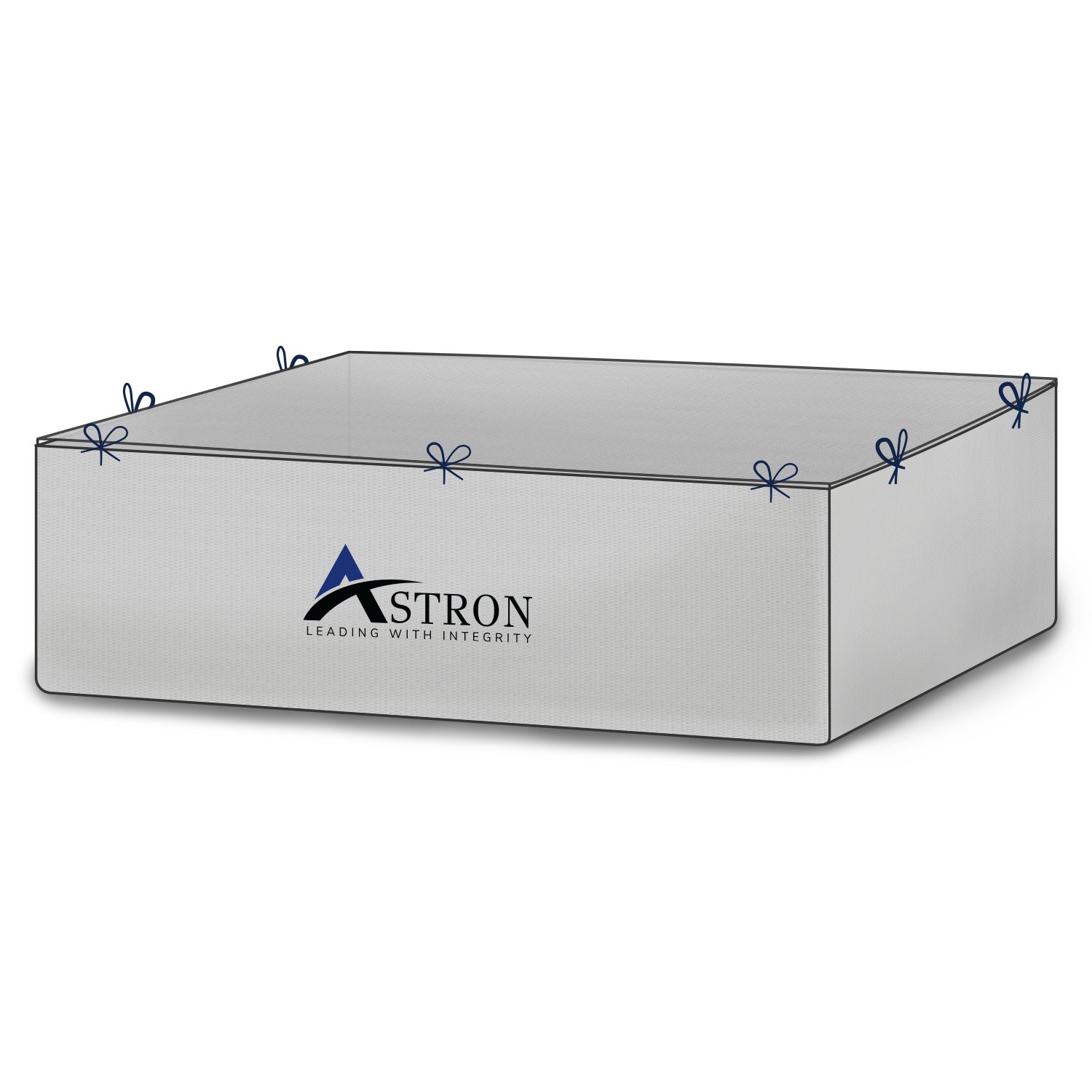 Container Liner_Old Bag | Aston packaging Solution